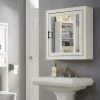 Buy ???? Crosley Furniture Tara Bath Mirror Cabinet In Vintage White ???? -Crosley Furniture Shop unnamed file 2588