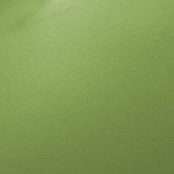 Cheapest ???? Crosley Furniture Gracie Green Stainless Steel Chair ✨ -Crosley Furniture Shop unnamed file 2934